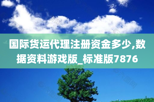 国际货运代理注册资金多少,数据资料游戏版_标准版7876