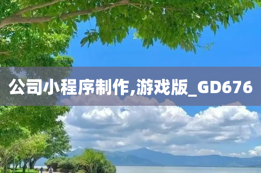 公司小程序制作,游戏版_GD676