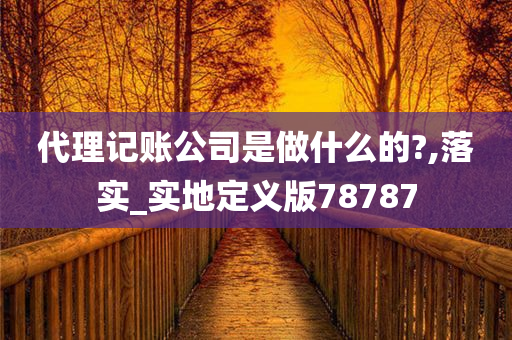 代理记账公司是做什么的?,落实_实地定义版78787