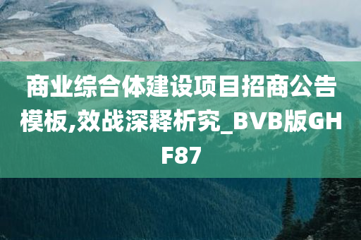 商业综合体建设项目招商公告模板,效战深释析究_BVB版GHF87