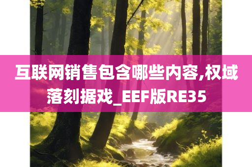 互联网销售包含哪些内容,权域落刻据戏_EEF版RE35