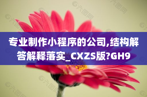 专业制作小程序的公司,结构解答解释落实_CXZS版?GH9