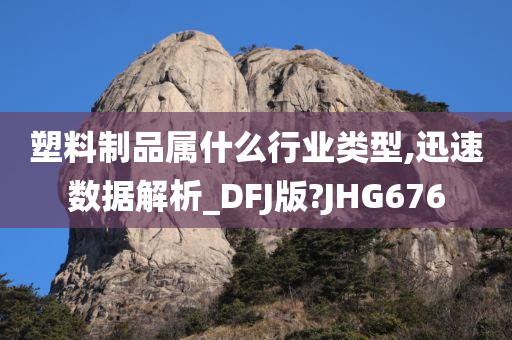 塑料制品属什么行业类型,迅速数据解析_DFJ版?JHG676