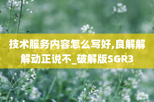 技术服务内容怎么写好,良解解解动正说不_破解版SGR3