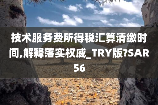 技术服务费所得税汇算清缴时间,解释落实权威_TRY版?SAR56