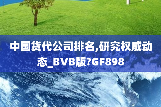 中国货代公司排名,研究权威动态_BVB版?GF898