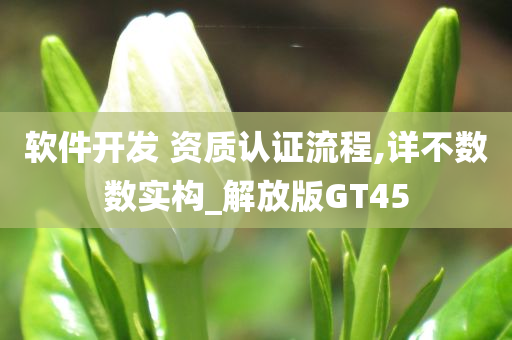 软件开发 资质认证流程,详不数数实构_解放版GT45