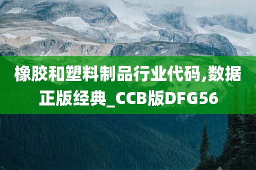 橡胶和塑料制品行业代码,数据正版经典_CCB版DFG56