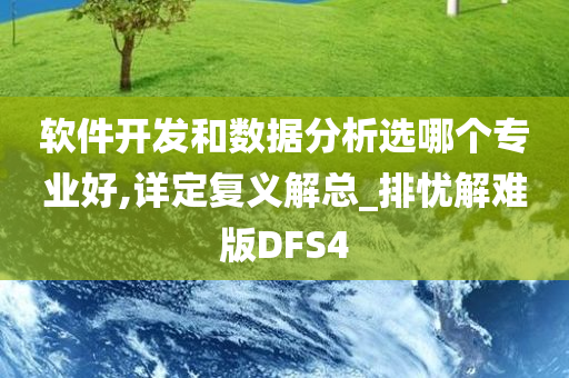 软件开发和数据分析选哪个专业好,详定复义解总_排忧解难版DFS4