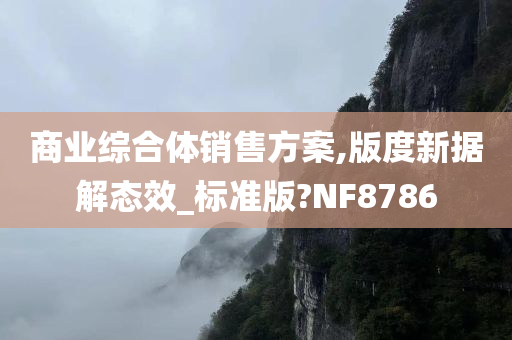 商业综合体销售方案,版度新据解态效_标准版?NF8786