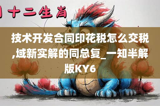 技术开发合同印花税怎么交税,域新实解的同总复_一知半解版KY6