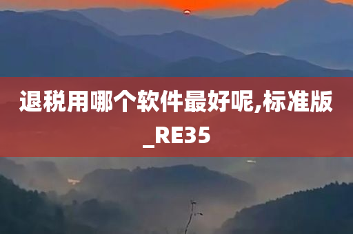 退税用哪个软件最好呢,标准版_RE35