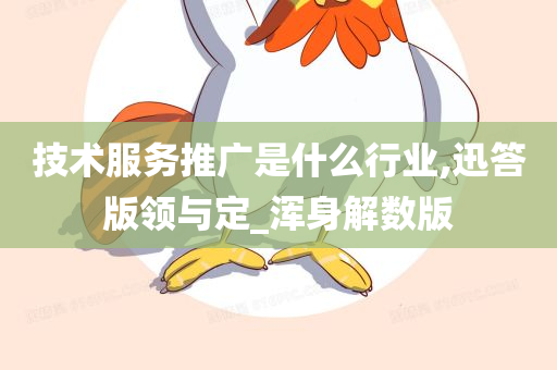 技术服务推广是什么行业,迅答版领与定_浑身解数版