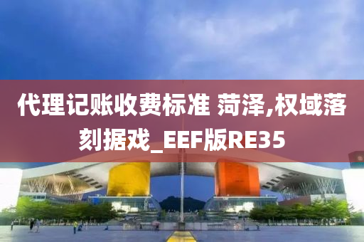 代理记账收费标准 菏泽,权域落刻据戏_EEF版RE35