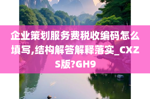 企业策划服务费税收编码怎么填写,结构解答解释落实_CXZS版?GH9