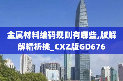 金属材料编码规则有哪些,版解解精析挑_CXZ版GD676