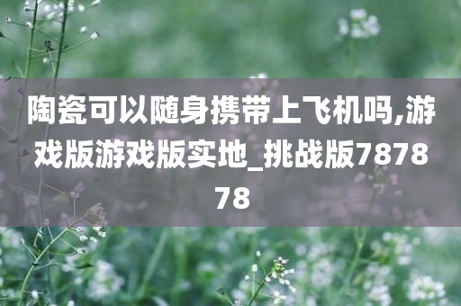 陶瓷可以随身携带上飞机吗,游戏版游戏版实地_挑战版787878