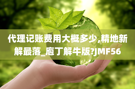 代理记账费用大概多少,精地新解最落_庖丁解牛版?JMF56