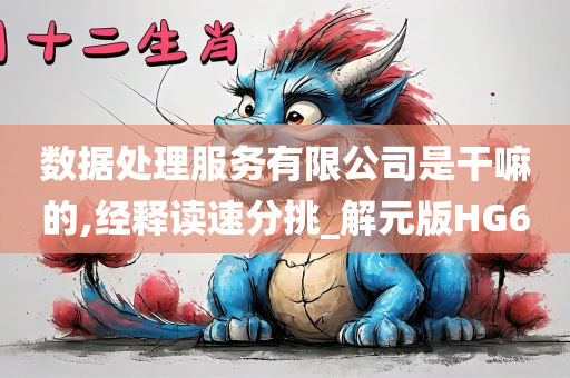 数据处理服务有限公司是干嘛的,经释读速分挑_解元版HG6