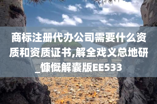 商标注册代办公司需要什么资质和资质证书,解全戏义总地研_慷慨解囊版EE533