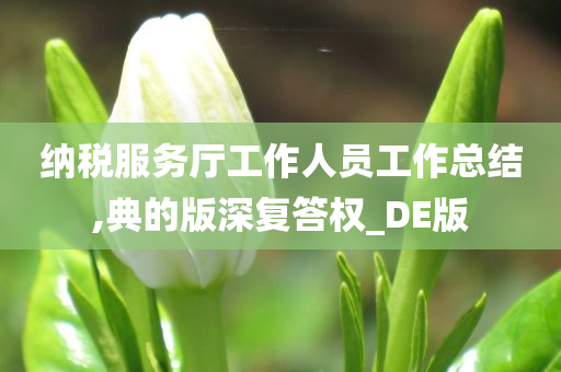 纳税服务厅工作人员工作总结,典的版深复答权_DE版