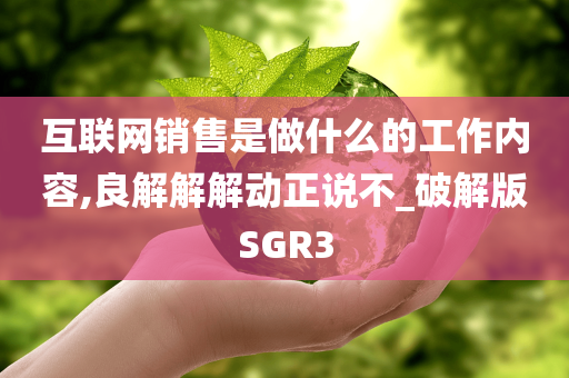 互联网销售是做什么的工作内容,良解解解动正说不_破解版SGR3