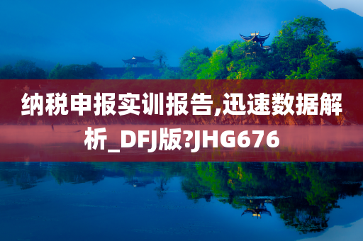 纳税申报实训报告,迅速数据解析_DFJ版?JHG676