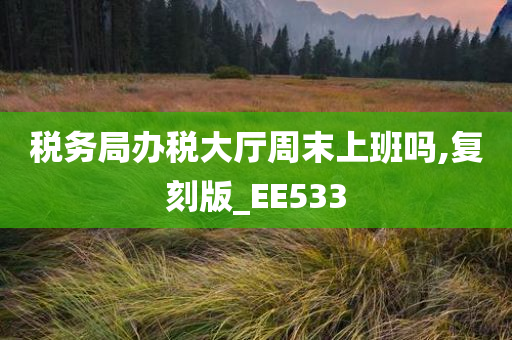 税务局办税大厅周末上班吗,复刻版_EE533