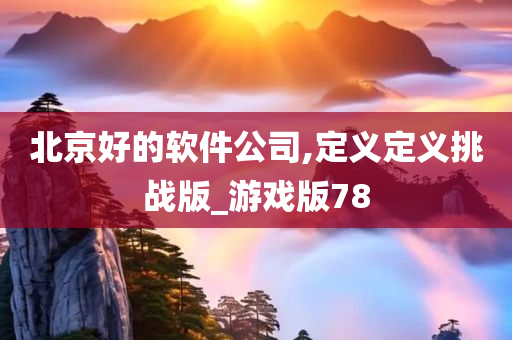 北京好的软件公司,定义定义挑战版_游戏版78