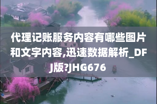 代理记账服务内容有哪些图片和文字内容,迅速数据解析_DFJ版?JHG676