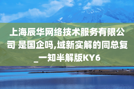 上海辰华网络技术服务有限公司 是国企吗,域新实解的同总复_一知半解版KY6