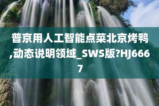 普京用人工智能点菜北京烤鸭,动态说明领域_SWS版?HJ6667