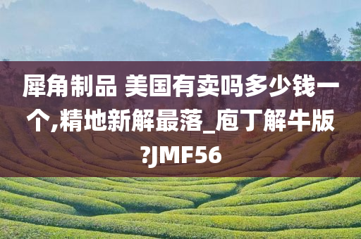 犀角制品 美国有卖吗多少钱一个,精地新解最落_庖丁解牛版?JMF56