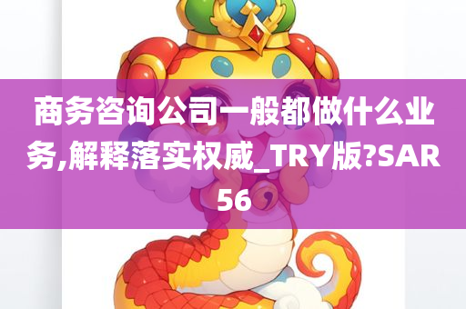 商务咨询公司一般都做什么业务,解释落实权威_TRY版?SAR56