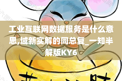 工业互联网数据服务是什么意思,域新实解的同总复_一知半解版KY6