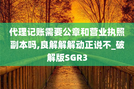 代理记账需要公章和营业执照副本吗,良解解解动正说不_破解版SGR3