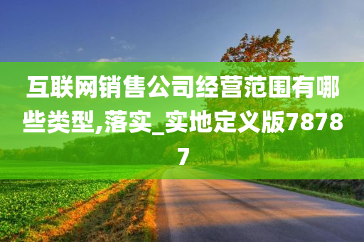 互联网销售公司经营范围有哪些类型,落实_实地定义版78787