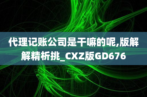 代理记账公司是干嘛的呢,版解解精析挑_CXZ版GD676