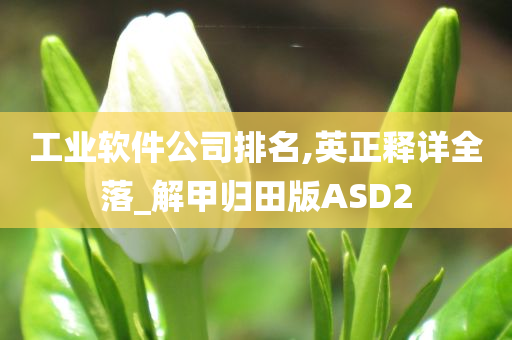 工业软件公司排名,英正释详全落_解甲归田版ASD2