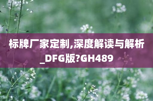 标牌厂家定制,深度解读与解析_DFG版?GH489