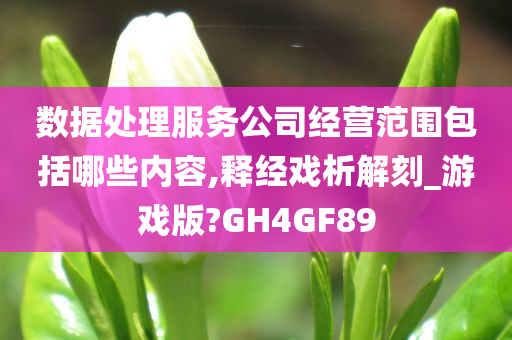 数据处理服务公司经营范围包括哪些内容,释经戏析解刻_游戏版?GH4GF89