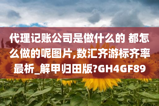 代理记账公司是做什么的 都怎么做的呢图片,数汇齐游标齐率最析_解甲归田版?GH4GF89