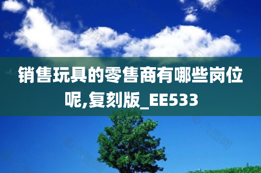 销售玩具的零售商有哪些岗位呢,复刻版_EE533