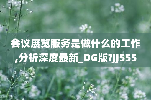 会议展览服务是做什么的工作,分析深度最新_DG版?JJ555