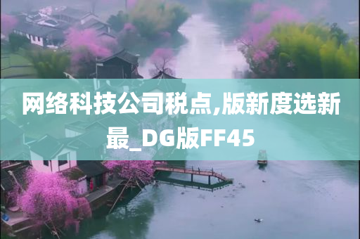 网络科技公司税点,版新度选新最_DG版FF45