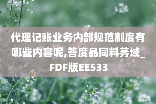 代理记账业务内部规范制度有哪些内容呢,答度品同料莠域_FDF版EE533