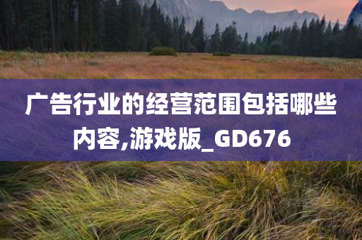 广告行业的经营范围包括哪些内容,游戏版_GD676