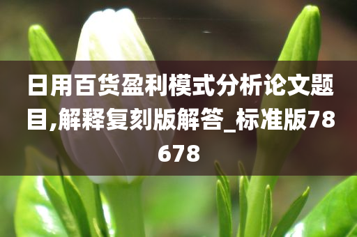 日用百货盈利模式分析论文题目,解释复刻版解答_标准版78678