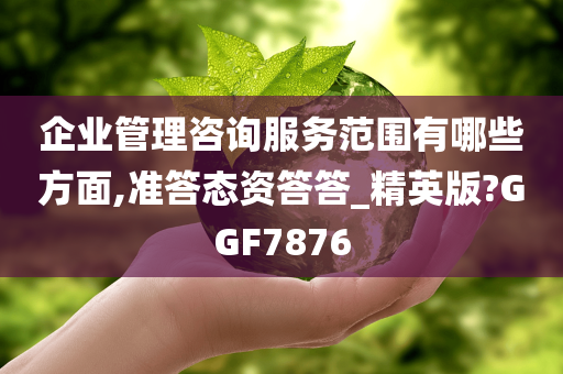 企业管理咨询服务范围有哪些方面,准答态资答答_精英版?GGF7876