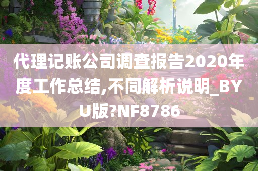 代理记账公司调查报告2020年度工作总结,不同解析说明_BYU版?NF8786